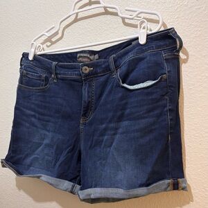 Torrid Women's Blue Denim Shorts